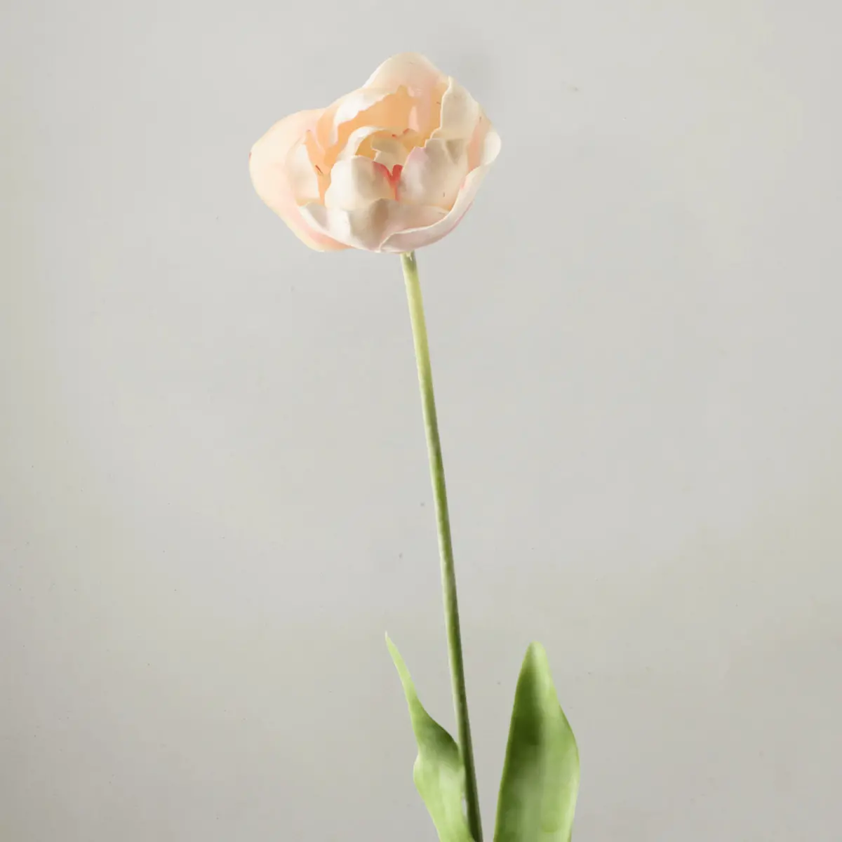 Tulip Hybrid - Light Pink 71Cm 1
