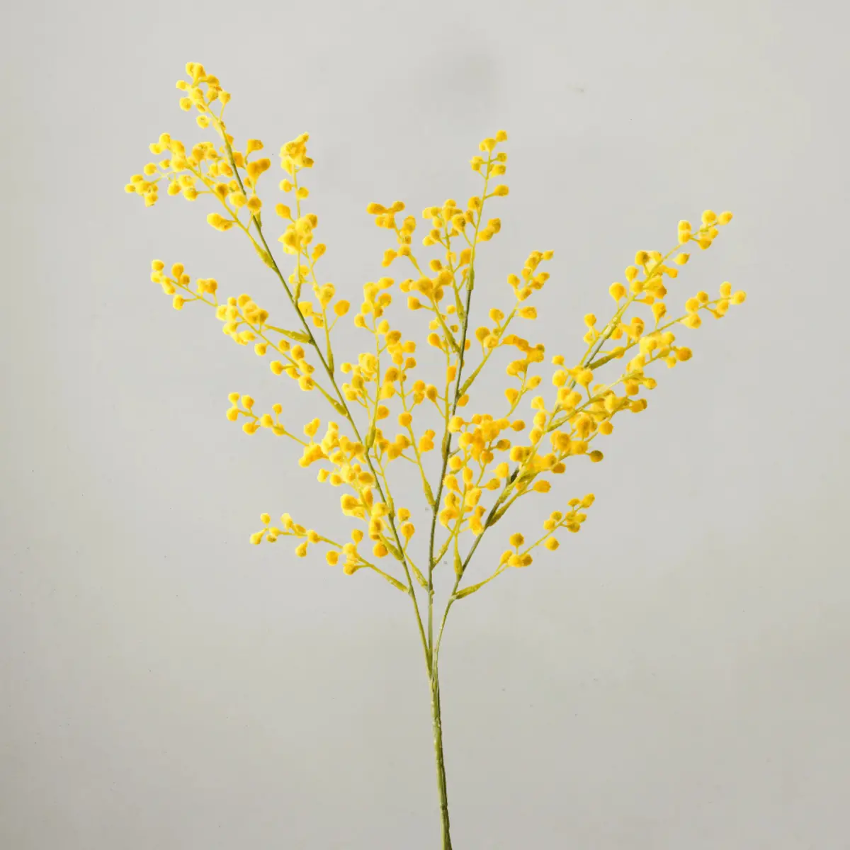 Wattle Spray 69Cm - Yellow 1