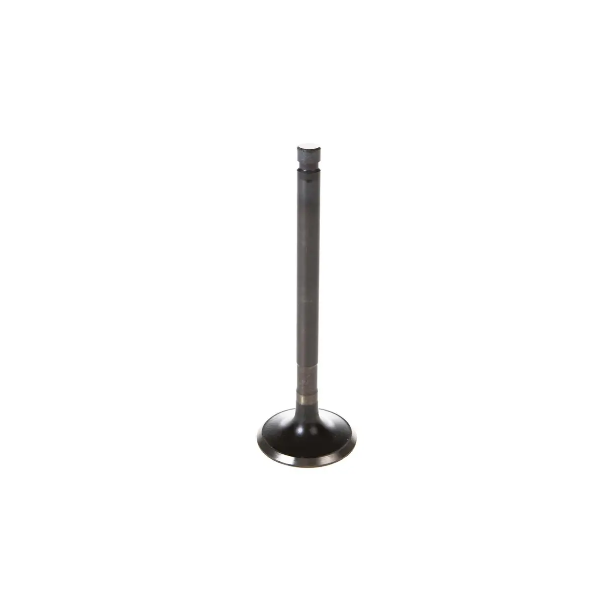 Melling Stainless Steel Valve Set V5330 1